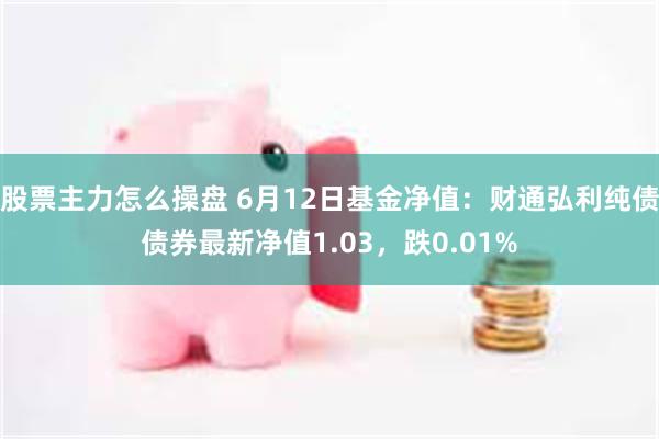 股票主力怎么操盘 6月12日基金净值：财通弘利纯债债券最新净值1.03，跌0.01%