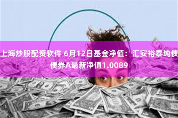 上海炒股配资软件 6月12日基金净值：汇安裕泰纯债债券A最新净值1.0089