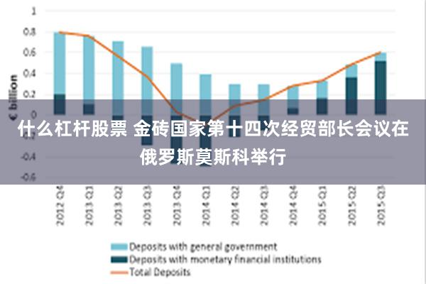 什么杠杆股票 金砖国家第十四次经贸部长会议在俄罗斯莫斯科举行