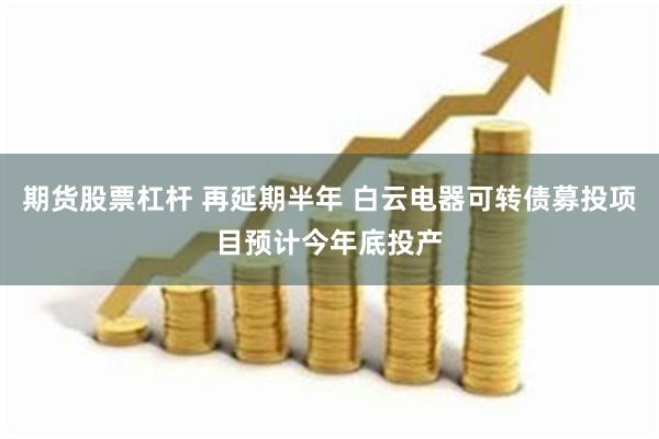 期货股票杠杆 再延期半年 白云电器可转债募投项目预计今年底投产