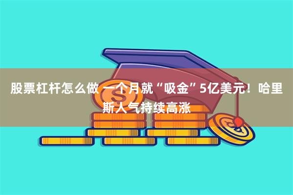 股票杠杆怎么做 一个月就“吸金”5亿美元！哈里斯人气持续高涨