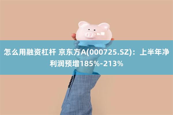 怎么用融资杠杆 京东方A(000725.SZ)：上半年净利润预增185%-213%