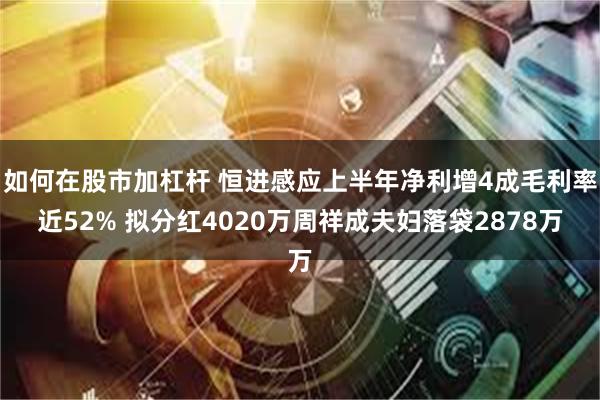 如何在股市加杠杆 恒进感应上半年净利增4成毛利率近52% 拟分红4020万周祥成夫妇落袋2878万