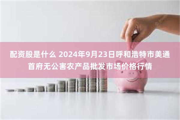 配资股是什么 2024年9月23日呼和浩特市美通首府无公害农产品批发市场价格行情