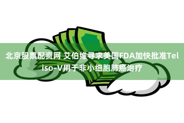 北京股票配资网 艾伯维寻求美国FDA加快批准Teliso-V用于非小细胞肺癌治疗