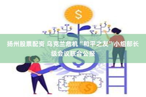 扬州股票配资 乌克兰危机“和平之友”小组部长级会议联合公报