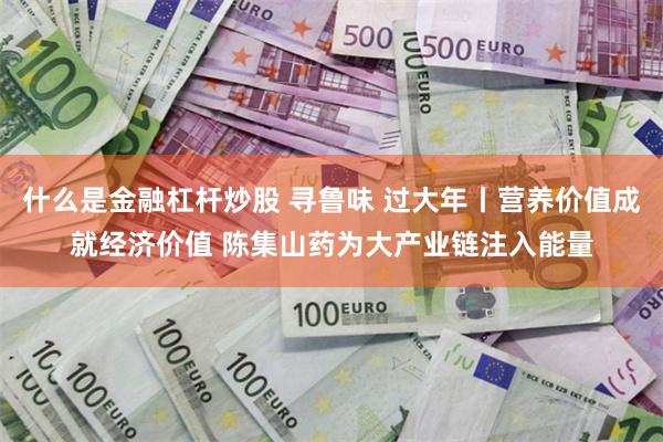 什么是金融杠杆炒股 寻鲁味 过大年丨营养价值成就经济价值 陈集山药为大产业链注入能量