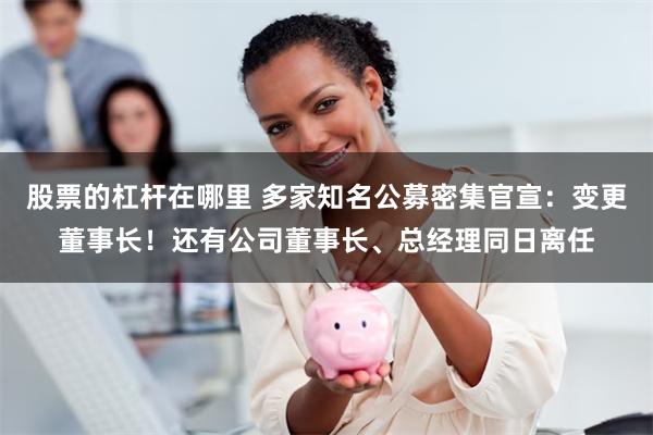 股票的杠杆在哪里 多家知名公募密集官宣：变更董事长！还有公司董事长、总经理同日离任