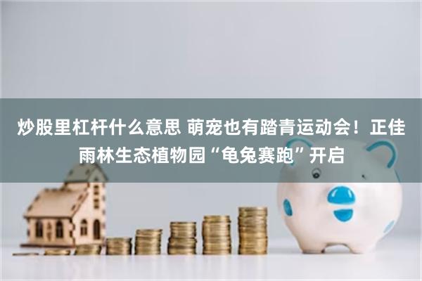 炒股里杠杆什么意思 萌宠也有踏青运动会！正佳雨林生态植物园“龟兔赛跑”开启